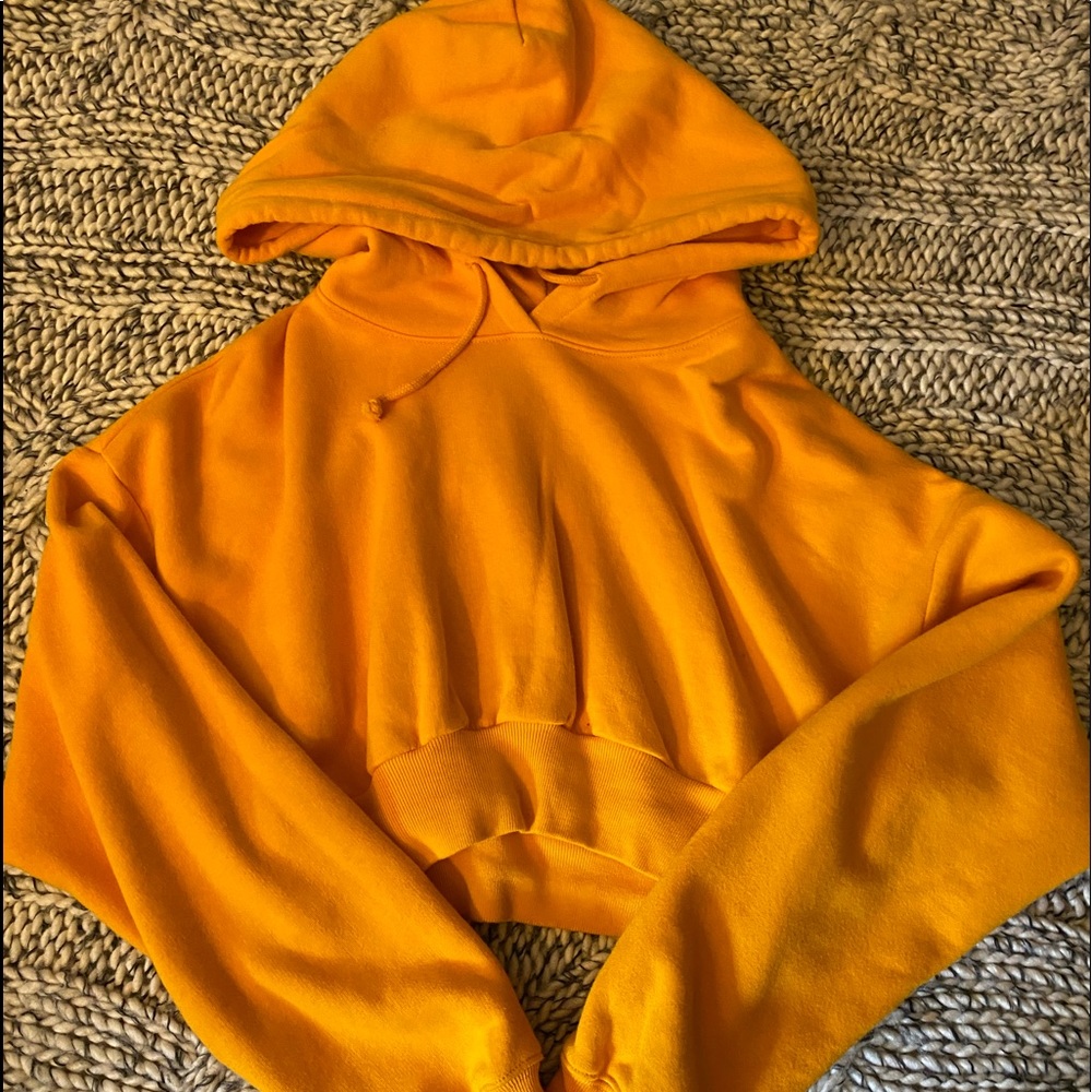 Aritzia TNA Cropped Hoodie Small